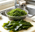Kelp